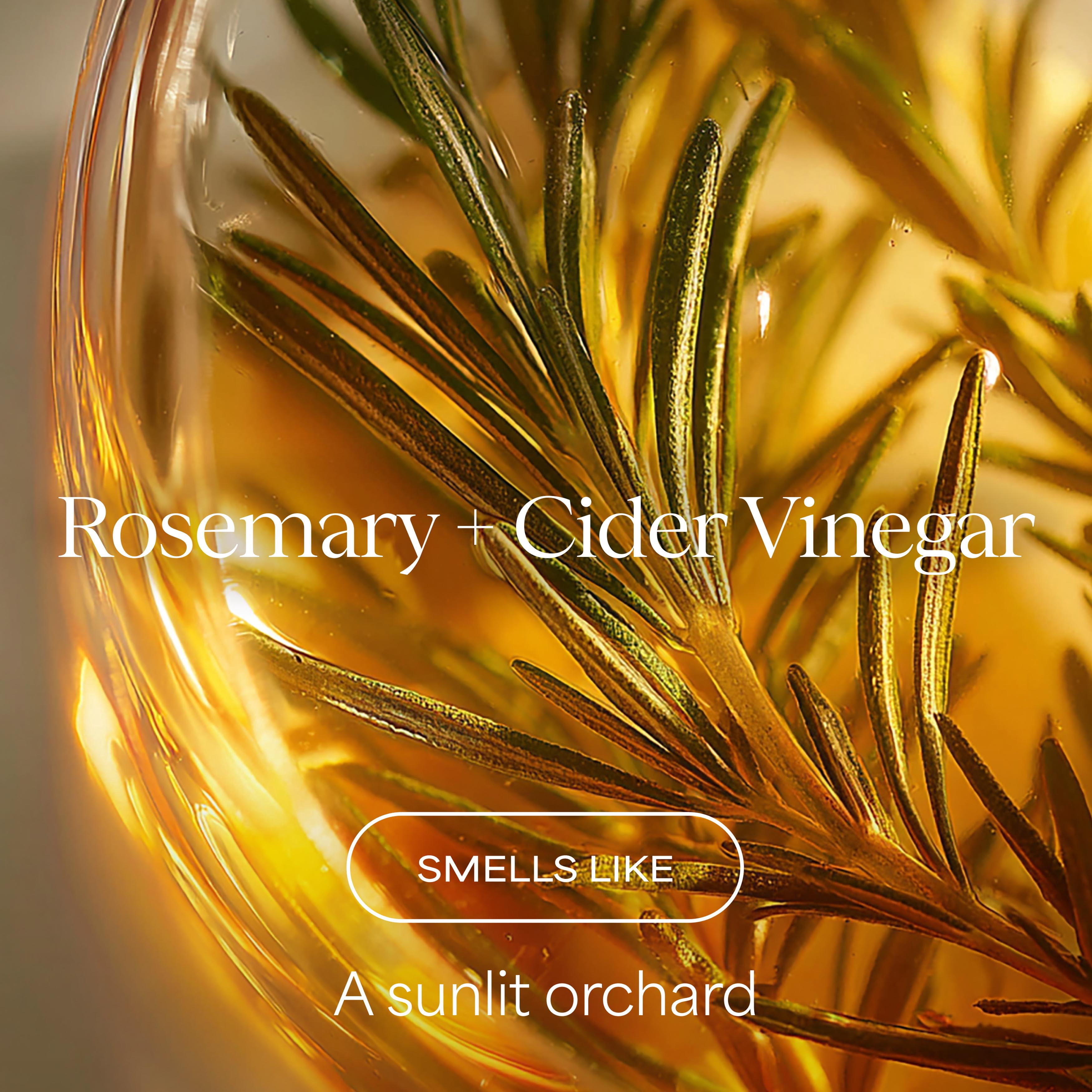 Raw Sugar The Mighty Curl Conditioner, Rosemary + Cider Vinegar, 16 fl oz