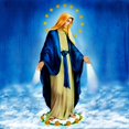 thumbnail image 2 of CafePress - Throw Blanket - Soft Fleece Throw Blanket, 50"x60" for All Ages, 2 of 2