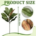 thumbnail image 4 of 2Pcs Realistic Magnolia Branches - Greenery for Home Table Vase, Indoor and Outdoor Decor, 4 of 6