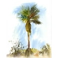 thumbnail image 2 of Shefranov, Olga 12x14 Gold Ornate Wood Framed with Double Matting Museum Art Print Titled - Palm Tree, 2 of 4
