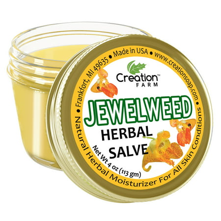 Jewelweed Herbal Salve Jar 4 OZ - Herbal Jewelweed Balm From Creation Farm | Traditional Soother | poison ivy summer skin comfort itchy (Best Treatment For Poison Ivy Rash)