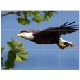 thumbnail image 1 of Bird Ceramic Tile Mural Kitchen Backsplash Bathroom Shower 402171-L43, 1 of 3