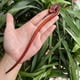 thumbnail image 3 of Horquilla antigua tallada en madera de sándalo rojo lobular, placa para el cabello, artesanías de madera pulida a mano, regalos antiguos de caoba, 3 of 6