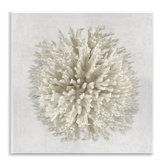 Stupell Industries Natural Round Coral Animals Painting Unframed Art Print Wall Art, 12 x 12