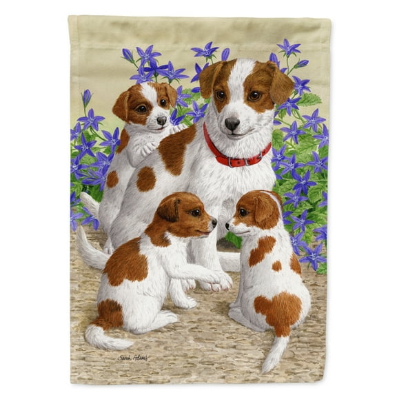 Carolines Treasures ASA2167GF Jack Russell Terriers Flag Garden Size  Small multicolor