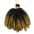 thumbnail image 3 of Ombré Moelleux Ressort Torsadé Crochet Extension de Cheveux Synthétiques, 3 of 6