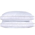 thumbnail image 1 of Juego de 2 Almohadas Puredown de Pluma y Plumón de Ganso Queen, 1 of 8