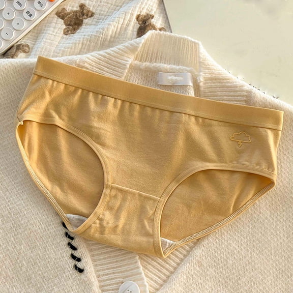 Chbgutlmr Underwear for Women Mid Rise Full Coverage Stretch Panties Comfy Cotton Solid Color Basic Briefs