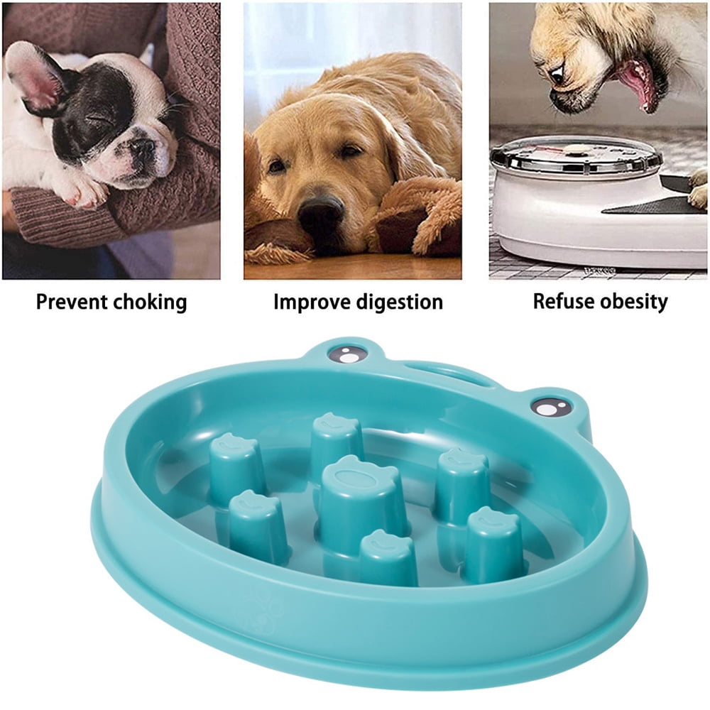 Dog bowls to prevent bloat online