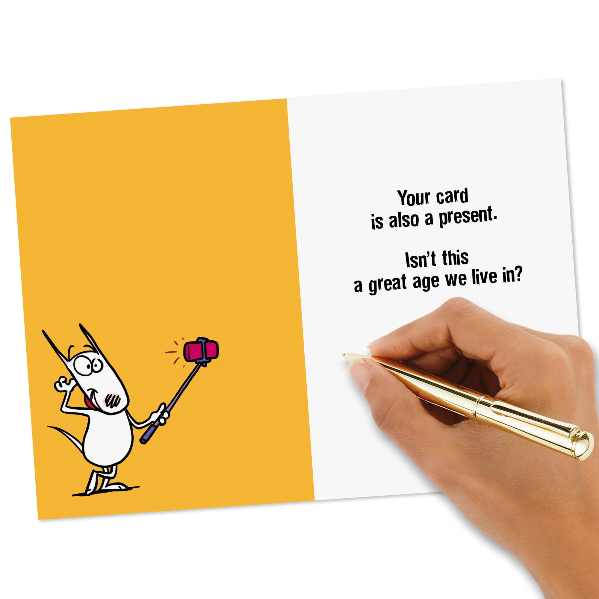 Hallmark Shoebox Maxine Funny Birthday Card (This Card Is Also Your Present)