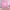 Pink 2PC, variant on Home Decor Window Floral Scarf Pink Door Curtain Divider Room Print Voile Curtain Home Decor Blackout Curtains Shower Drapes Set 200 x 100cm 1 piece