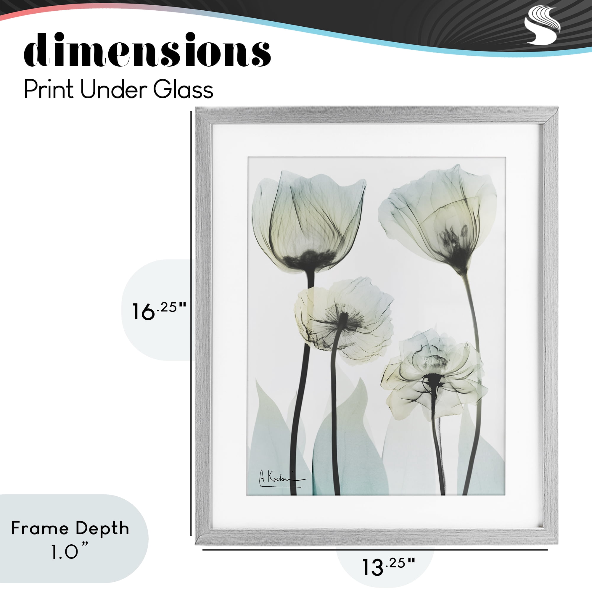 Stupell Industries Floral Luxury Of Creation Gray Framed Print Under Glass, design by Albert Koetsier