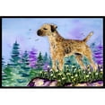 thumbnail image 1 of Carolines Treasures SS8664MAT Paillasson Intérieur Extérieur 18 x 27 Po. Border Terrier, 1 of 4