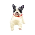 thumbnail image 2 of Ordinateur Mignon Intérieur Ordinateur Mini Écran Animal, 2 of 4