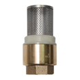 thumbnail image 1 of 1" Foot Valve - Brass and Stainless Steel, 1 of 1