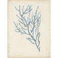 thumbnail image 2 of McCavitt, Naomi 12x14 Black Ornate Wood Framed with Double Matting Museum Art Print Titled - Seaweed Specimens III, 2 of 4