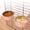 Pink, variant on Cififendec Hanging Crate Pet Bowl, 5.31"×2.36", Removable Stainless Steel Feeder and Waterer, No Spill Cage Mounted Food Dish for Dogs Cats and Small Pets(Pink)