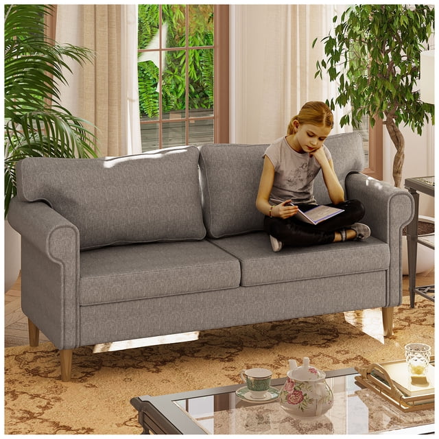 Simple Hogar Sofá Cama Sillón De 2 Plazas Con 2 Cómodas Almohadas Gris