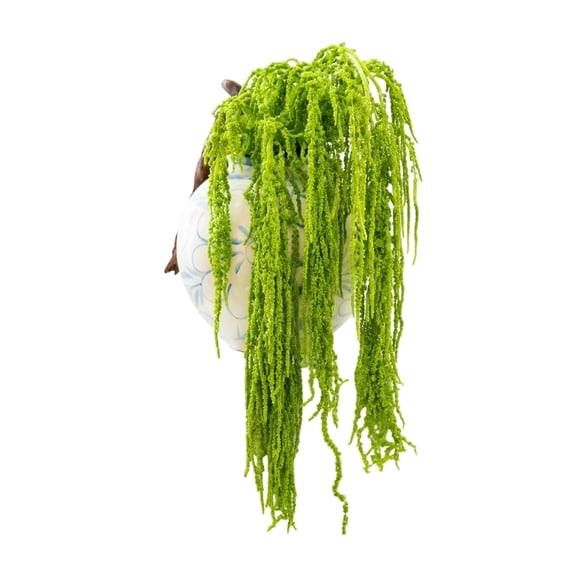CGBQZ 12 Pcs Neon Green Preserved Hanging Amaranthus Flowers - 23" Cascading Dried Flower Tassels for Wedding Arch, Floral Garland, Vase Arrangements & Home Decor