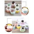 thumbnail image 2 of 6PCS Succulent Pot Creative Small Flower Pot Plant Pot for Garden Yard Decor, 2 of 10