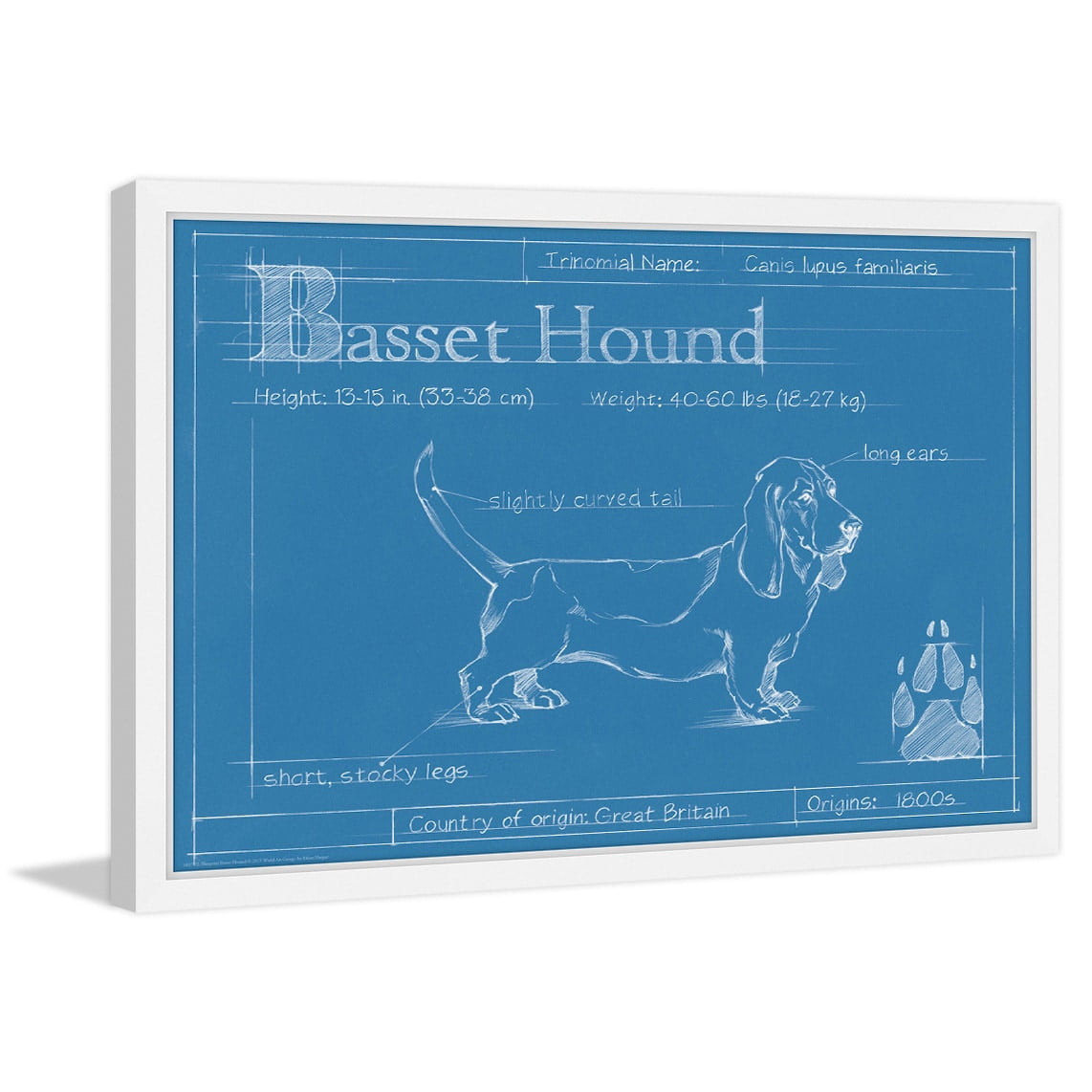 Marmont Hill "Basset Hound" Framed Painting Print