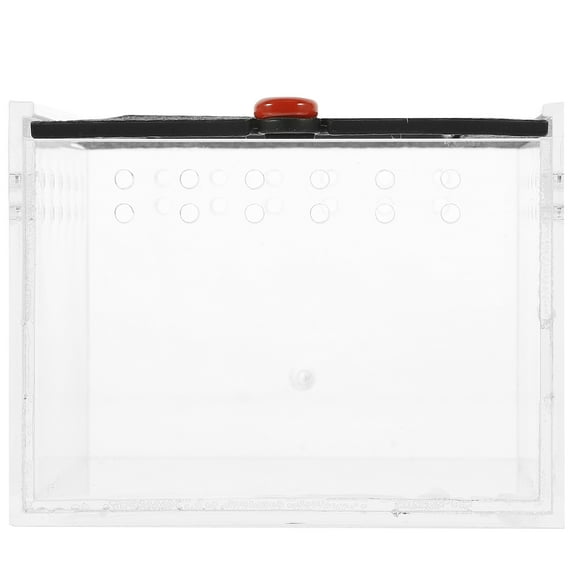 Pretyzoom Transparent Acrylic Reptile Feeding Box with Ventilation for Pet Keeping