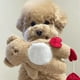 thumbnail image 5 of Juguete relleno del perro del oso, diseño elevado de los juguetes rellenos del animal doméstico lindo del juguete del perro del oso del juguete de la felpa del perro Jadeshay  A, 5 of 8