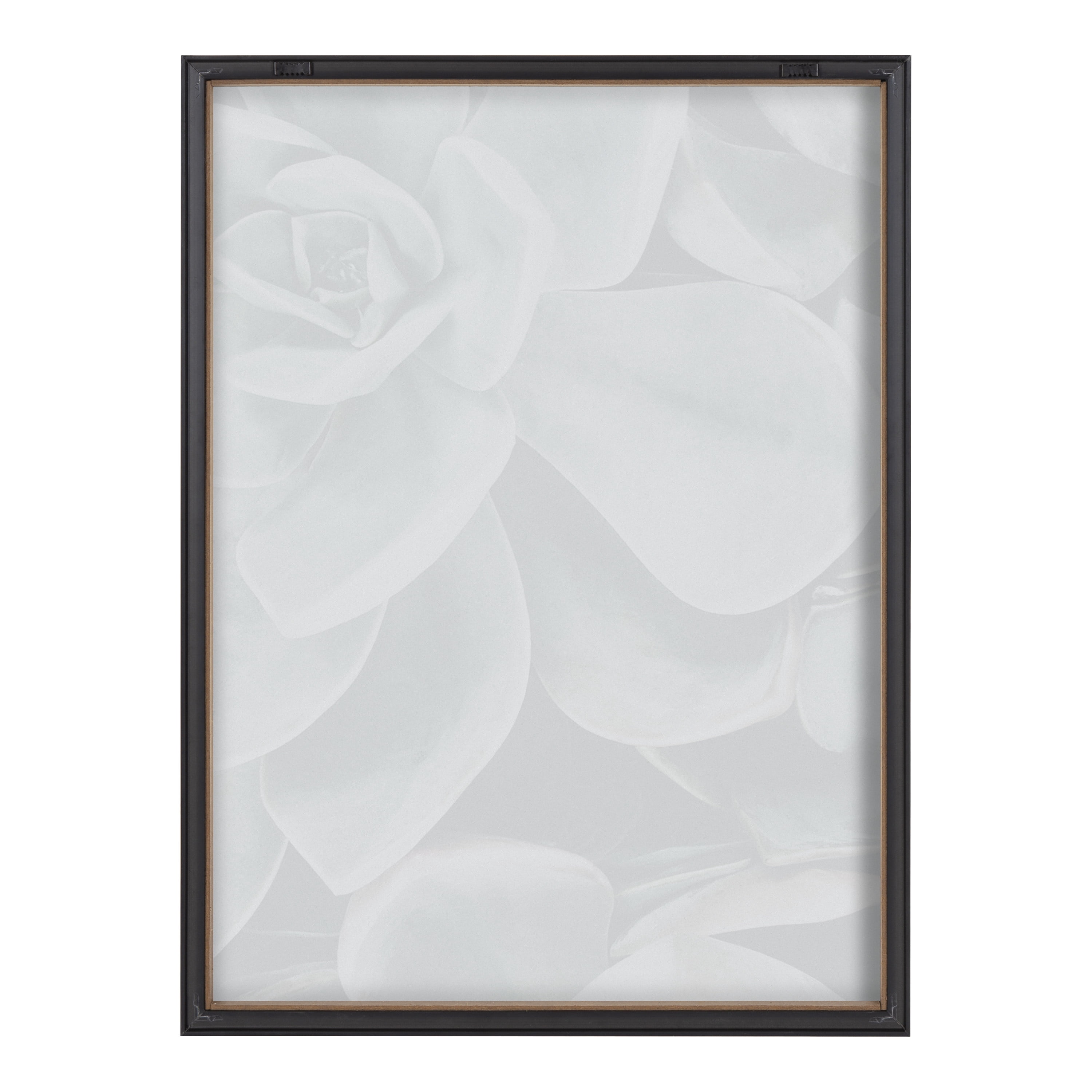 Kate and Laurel Blake Botanical Succulent Plant Framed Printed Glass Wall Art by The Creative Bunch Studio, 18x24 Gray, Succulent Art for Wall