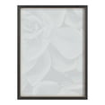 thumbnail image 4 of Kate and Laurel Blake Botanical Succulent Plant Framed Printed Glass Wall Art by The Creative Bunch Studio, 18x24 Gray, Succulent Art for Wall, 4 of 8