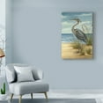 thumbnail image 3 of Trademark Fine Art 'Shore Bird II' Canvas Art by Ethan Harper, 3 of 4