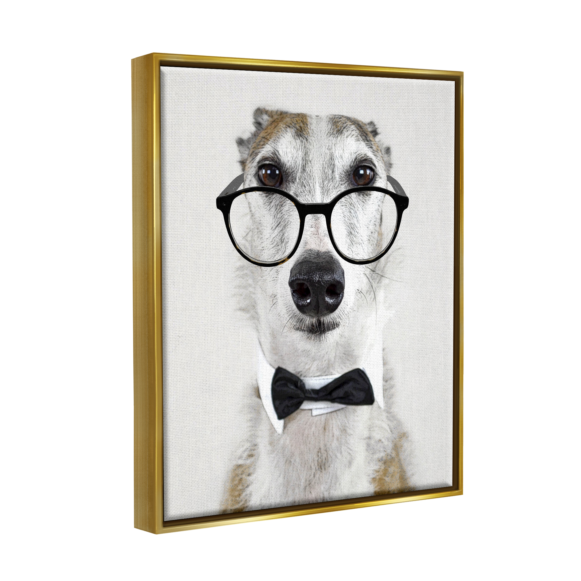 Stupell Funny Dog Formal Bowtie Glasses Animals & Insects Painting Gold Floater Framed Art Print Wall Art