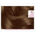 thumbnail image 5 of L'Oreal Paris Excellence Creme Haircolor, Dark Golden Brown [4G] (Warmer) - (Pack of 4), 5 of 5
