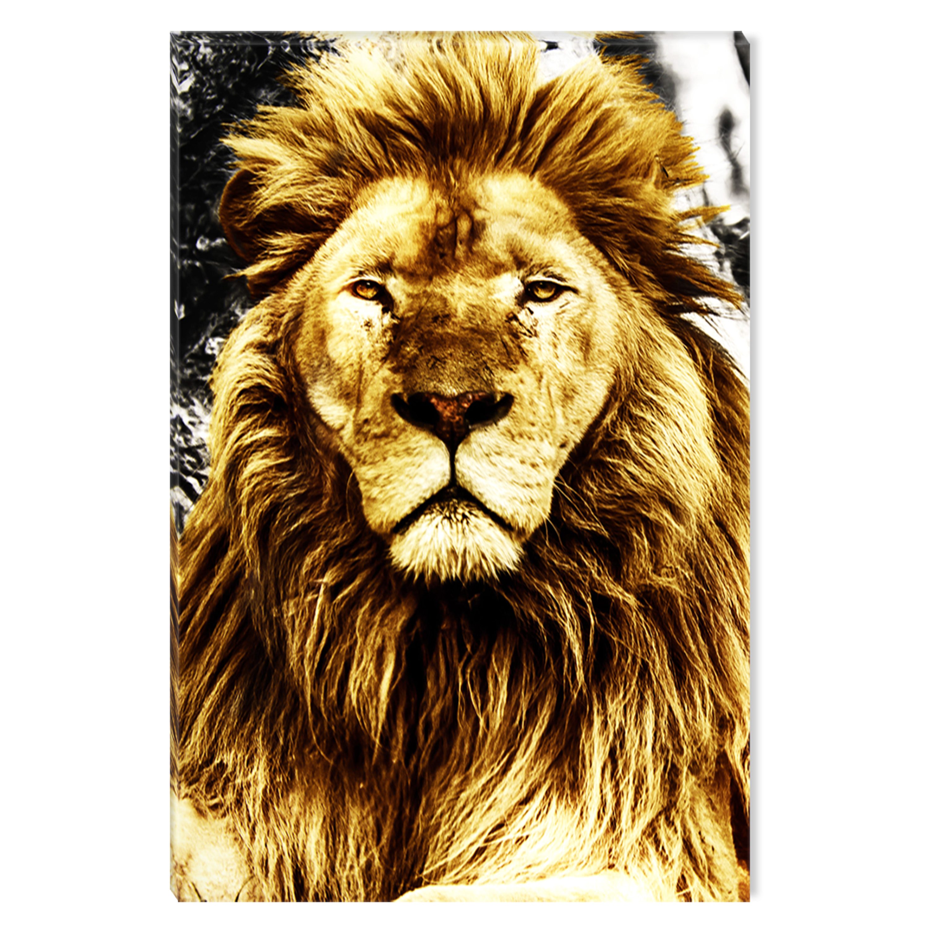 Startonight Canvas Wall Art Supreme Animal Jungle Lion, Dual View