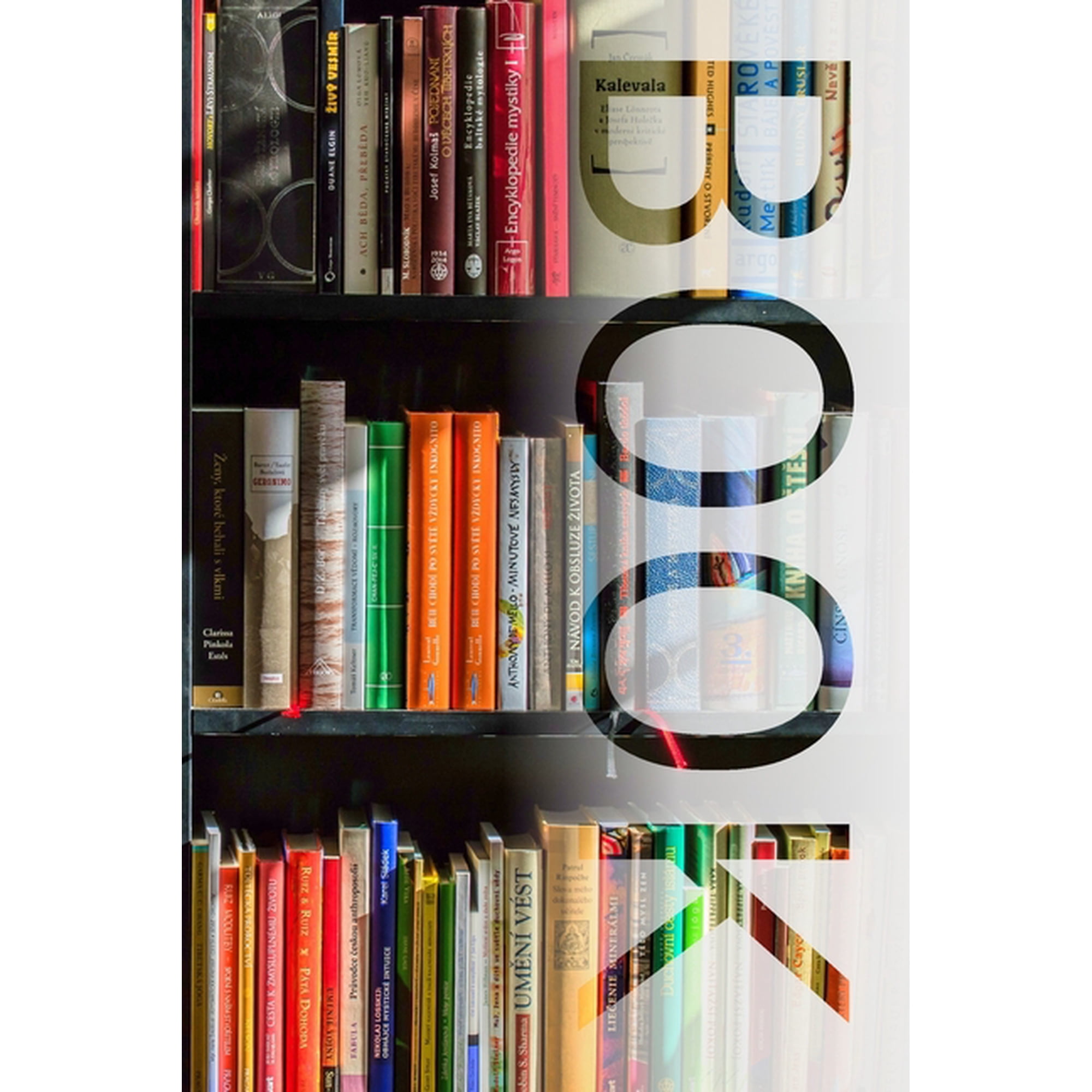 Book: Bookshelf Design Reading Log (Paperback)