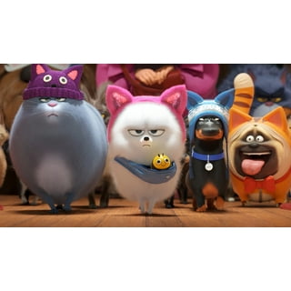 Secret life of pets cake walmart cheap