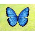 thumbnail image 2 of Dick's Blue Morpho Door Mat 18x26, 2 of 3