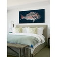 thumbnail image 5 of Marmont Hill 'Red Porgy' Painting Print on Wrapped Canvas, 5 of 7