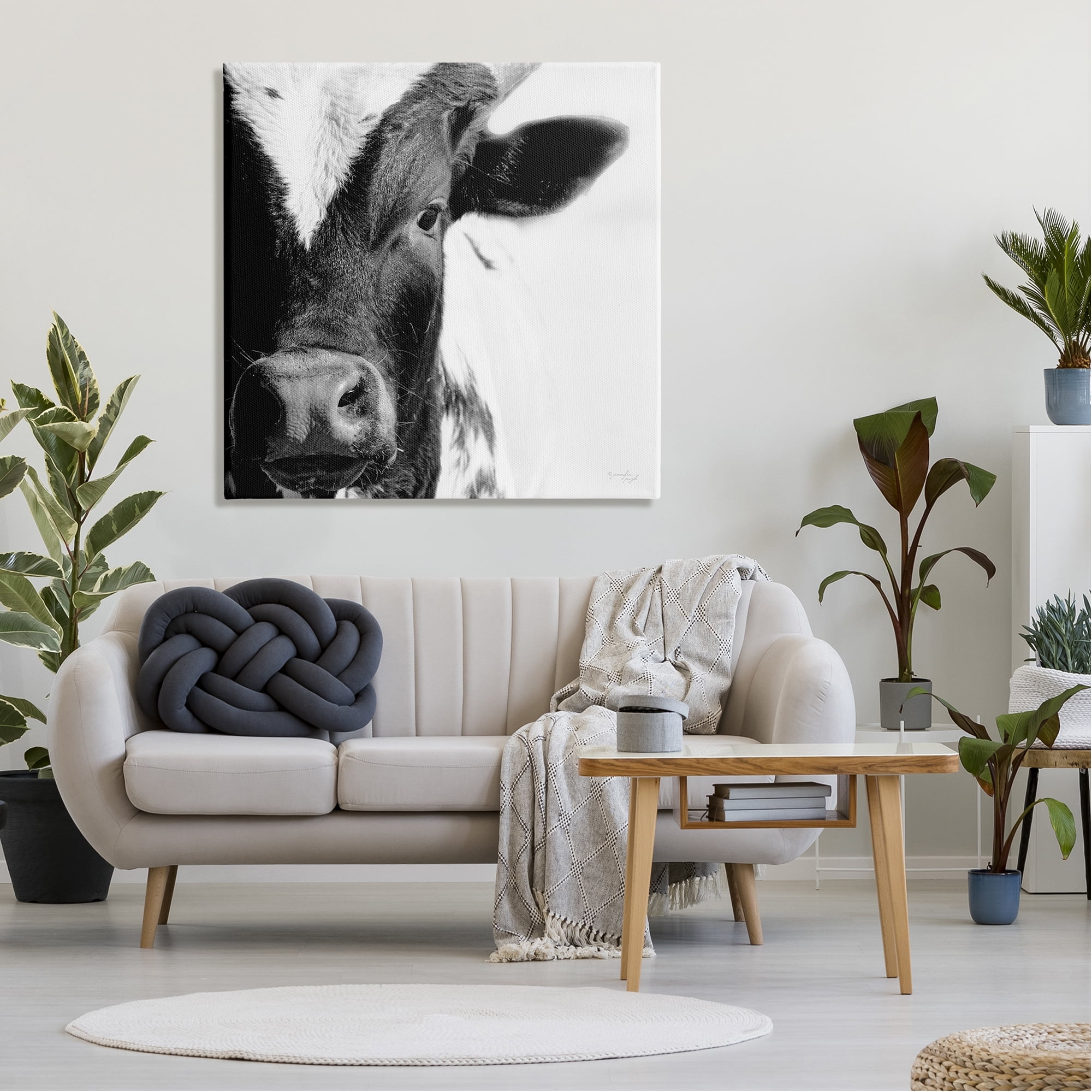 Stupell Industries Rural Farm Cow Stunning Up Close Photography Photograph Gallery Wrapped Canvas Print Wall Art, Design by Jennifer Pugh