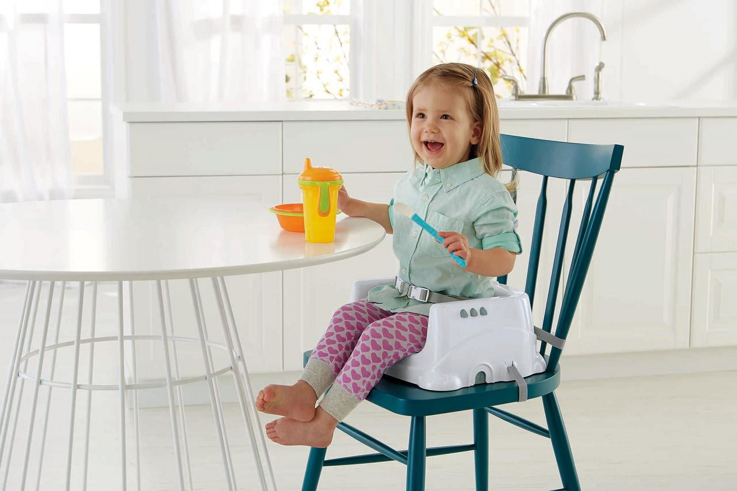 Fisher-price Healthy Care Booster Seat : Target