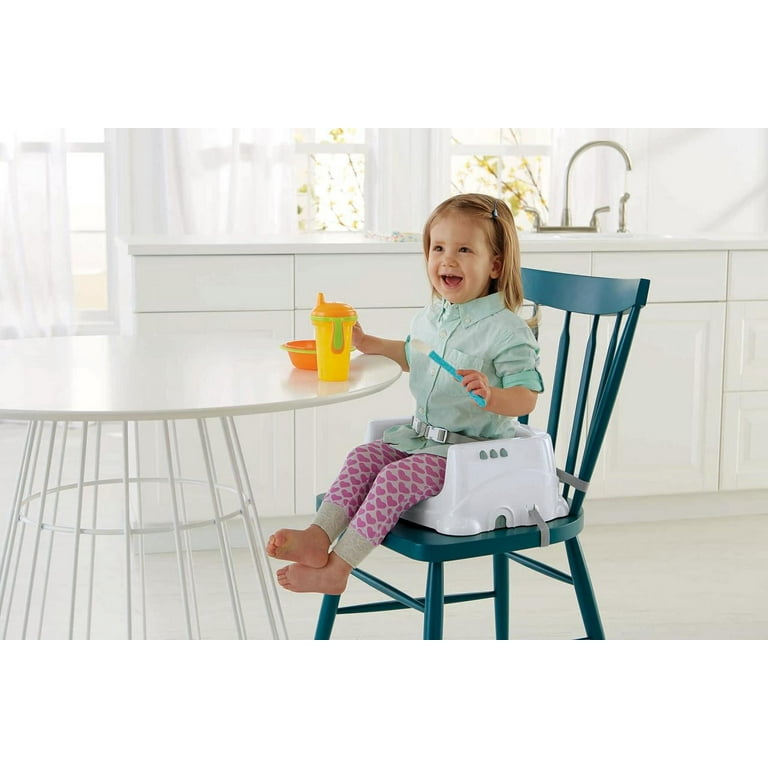 Fisher Price Healthy Care Deluxe Booster Seat Portable Infant Toddler Dining Chair Blue