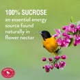 thumbnail image 2 of CHL-29 3 Nectar d'Oriole Instantané, 8 Onces, 2 of 4