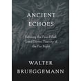 thumbnail image 2 of Pre-Owned Ancient Echoes: Refusing the Fear-Filled, Greed-Driven Toxicity of the Far Right (Paperback) 150649496X 9781506494968, 2 of 2