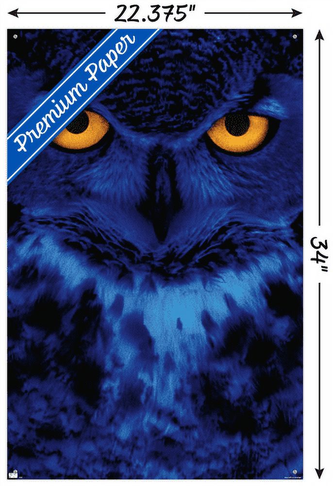 Owl - Eyes Wall Poster with Push Pins, 22.375" x 34"