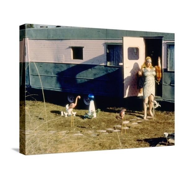 Art.com Pink Flamingos, Divine, 1972 Stretched Canvas Print Wall Art, 24" x 18"