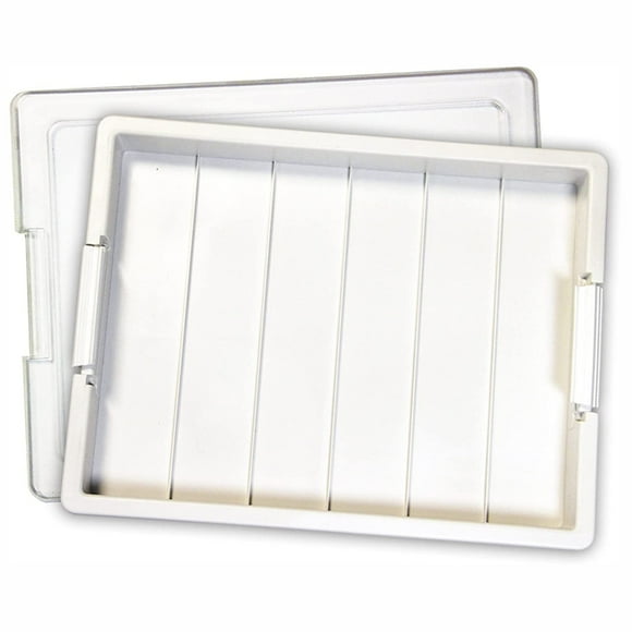 Bead Storage Solutions Elizabeth Ward Plastic Organizer Tray with Clear Snap Shut Lid for Sorting Craft Supplies, Fasteners, Crystals, and More