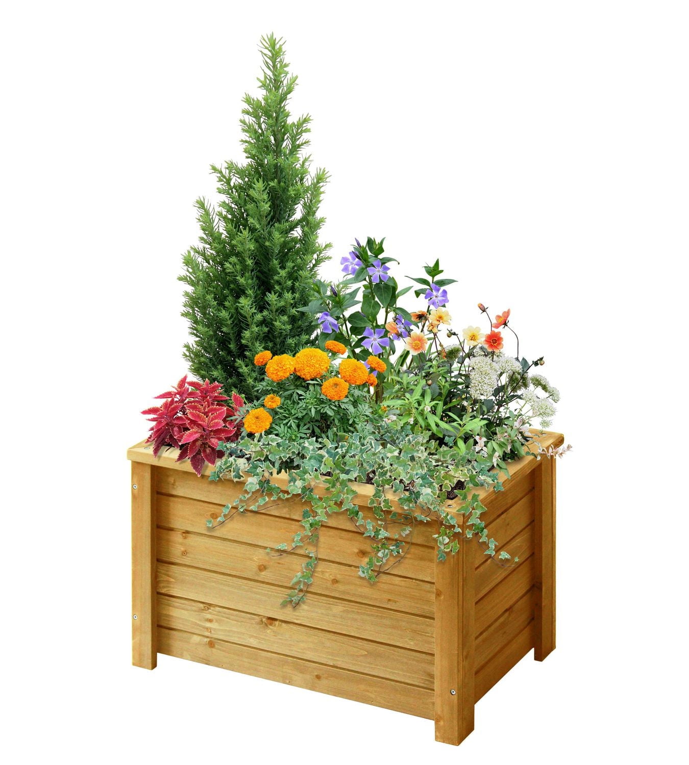 VegTrug Jardinière rectangulaire en bois de 24 po x 15 po - Naturel
