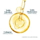 thumbnail image 3 of Suero Facial Exfoliante Collagenic Ácido Glicolico 50 ml con Colageno Hidrolizado, 3 of 7