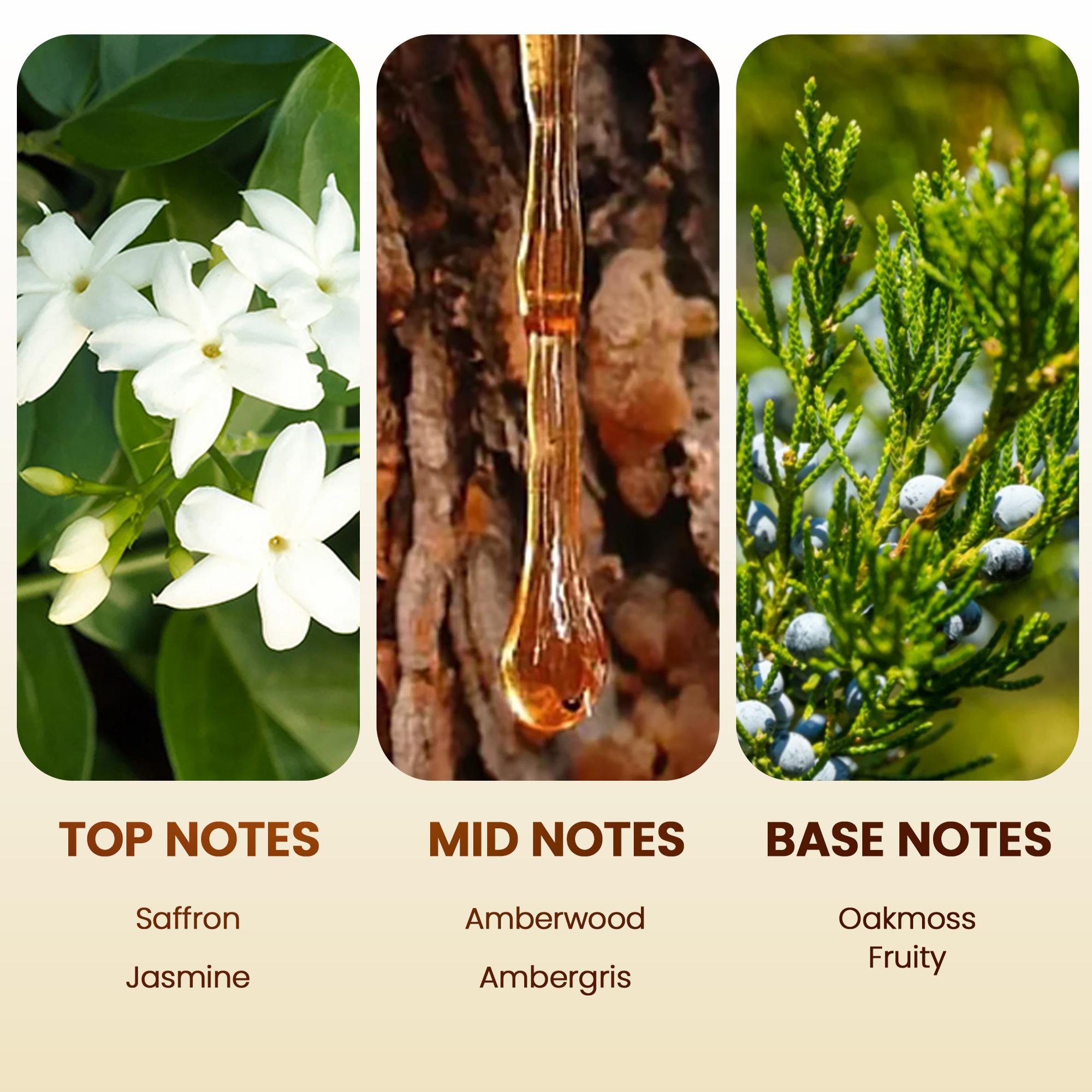 Scent Aura IV Golden Hour Fragrance Oil Inspired by Baccarat Rouge (3.38 Fl Oz|100ml, Hotel Diffuser Oil|Scent Notes:Saffron,Jasmine, Amberwood,Ambergris,Fir,Cedar)
