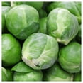 thumbnail image 3 of Everwilde Farms - 1/4 lb Catskill Brussels Sprouts Seeds - Gold Vault Bulk Seed Packet, 3 of 3