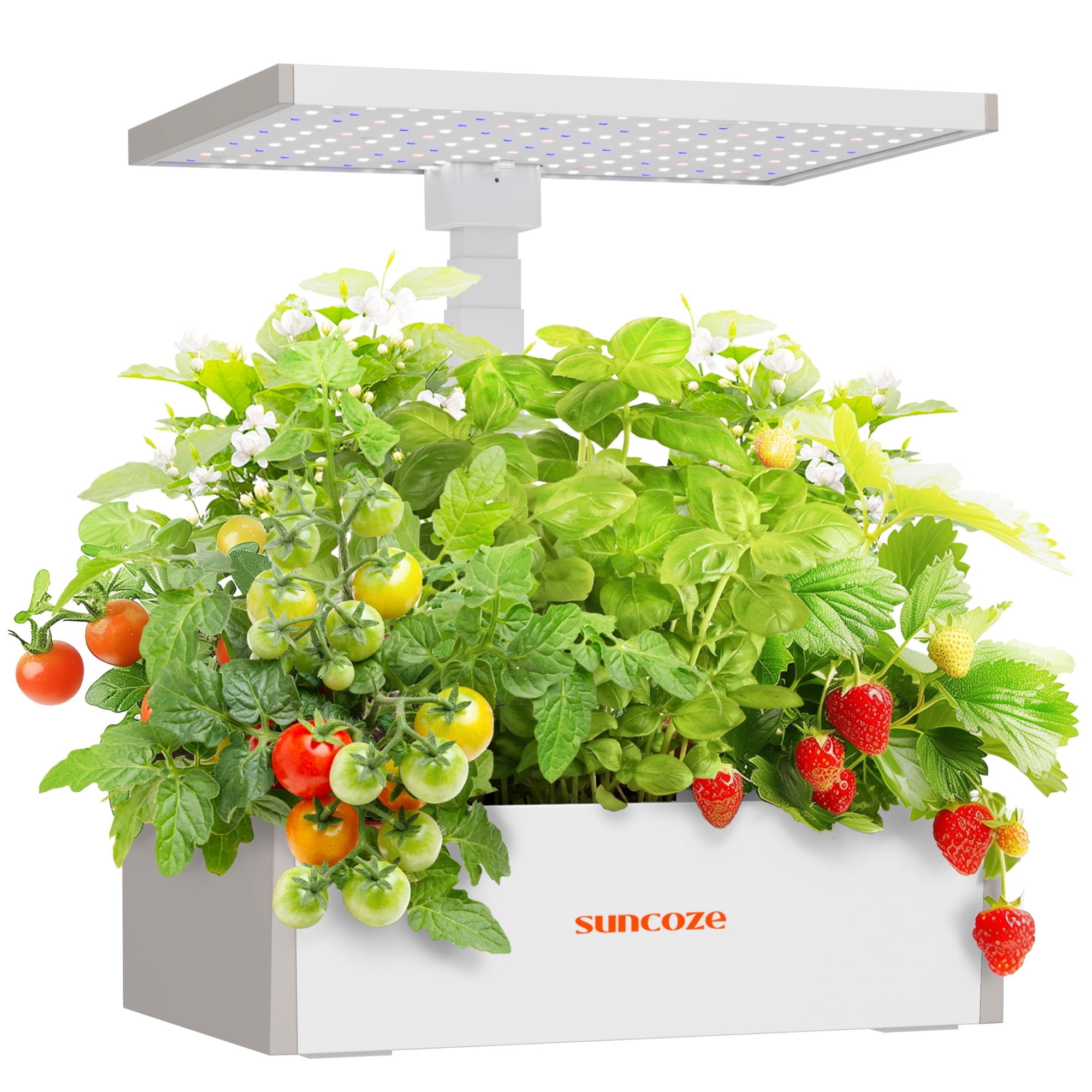 SUNCOZE 20 Pod Hydroponic Growing System, Indoor Herb Garden with